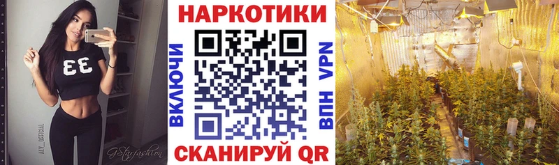 Где купить наркоту Элиста КОКАИН  Каннабис  МЕФ  Alpha PVP  Гашиш 