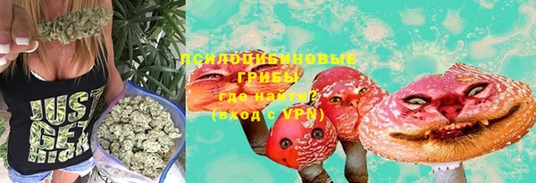 прущий лед Абаза