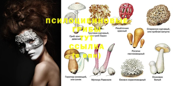 ешки Алексеевка